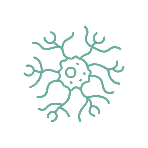 脳神経内科<br><small>（水曜午前のみ）</small>